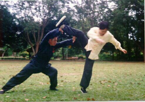 Combat Application of Taijiquan